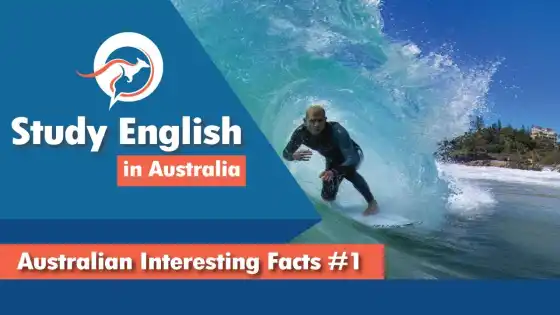 अस्ट्रेलिया शृङ्खला नम्बर १ मा रोचक तथ्य