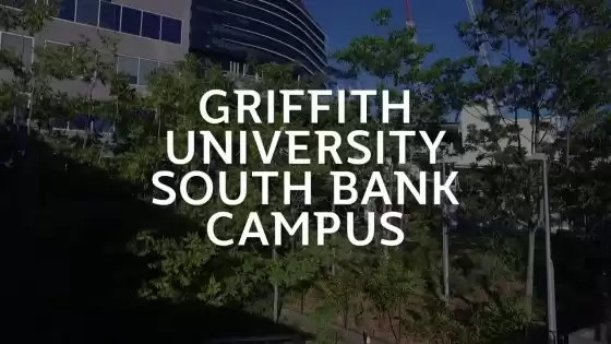 グリフィス大学サウスバンクキャンパス