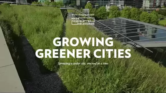 การเติบโตของเมืองสีเขียว