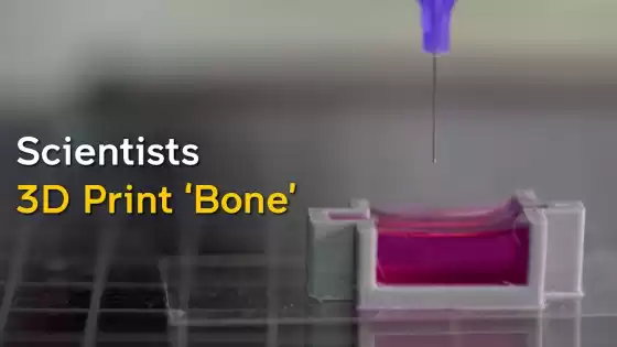 科学者は新しいインクを使用して生きた細胞を含む「骨」を3Dプリントします