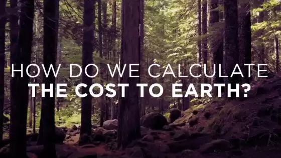 地球へのコストはどのように計算するのでしょうか?