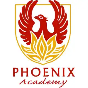 A Phoenix Academy agora está oferecendo cursos online!