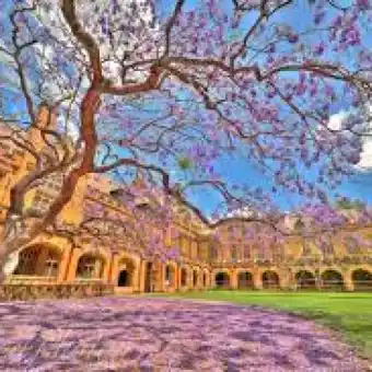 The University of Sydney 